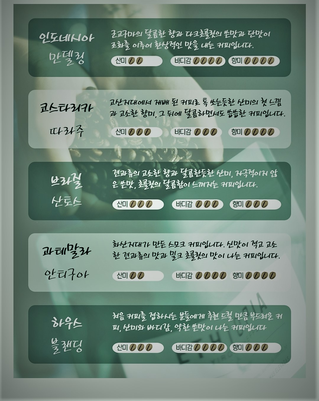 오후의 정원 드립백 커피 원두 개별 선택 가능 (1SET = 8개)